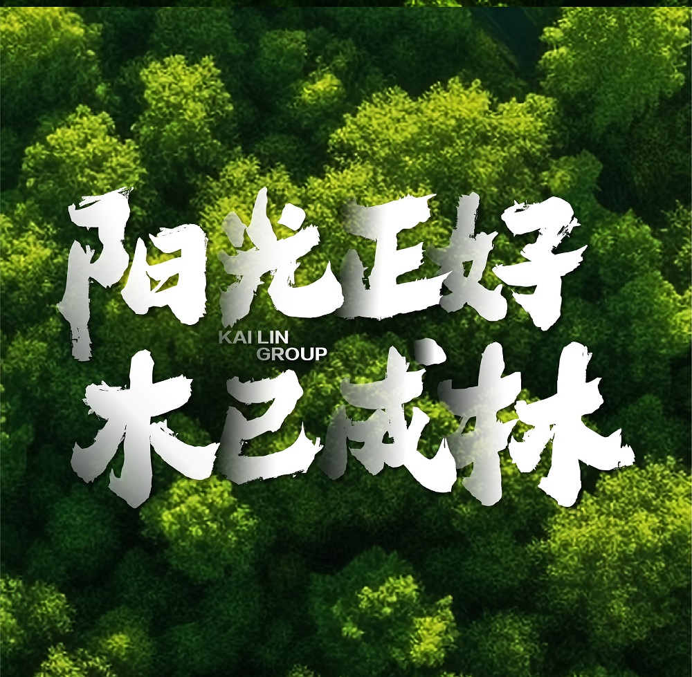 陽光正好 木已成林 | 開林集團(tuán)2023宣傳片正式發(fā)布！
